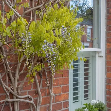 Gasthuis Guestready - Victorian Redbrick In Heart Of